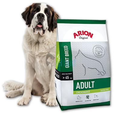 ARION Original Adult Giant Breed Chicken & Rice 12kg + Überraschung für den Hund