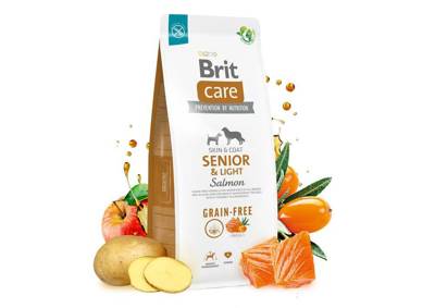 BRIT CARE Dog Grain-free Senior & Light Salmon 12kg + BRIT CARE Dog Dental Stick Immuno -5% billiger!!!