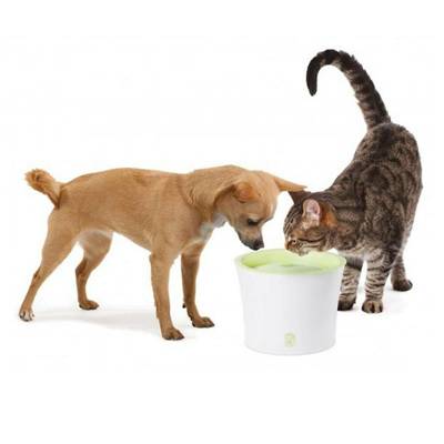 Catit Trinkbrunnen für Katzen und kleine Hunde, 3 Liter, grün