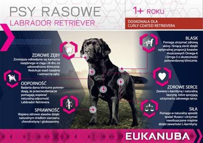 Eukanuba Breed Specific Labrador 12kg+Überraschung für den Hund