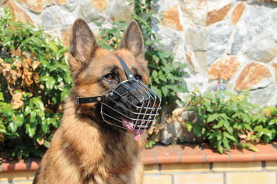 Hundemaulkorb DINGO N°9 Podhalan-Schäferhund