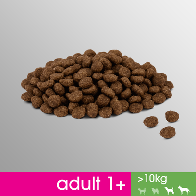 PERFECT FIT (Adult 1+) 825g mit Huhn - Trockenfutter für Hunde mittlerer und großer Rassen