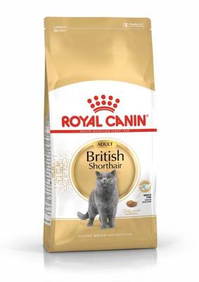 ROYAL CANIN British Shorthair Adult 4kg + Überraschung für die Katze