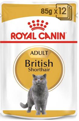 ROYAL CANIN British Shorthair Adult Beutel 12x85g in Soße