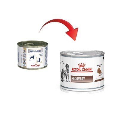 ROYAL CANIN Recovery 195g