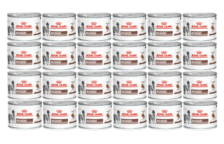 ROYAL CANIN Recovery 24x195g