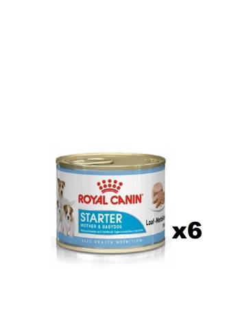 ROYAL CANIN Starter Mousse Mother & Babydog 6x195g
