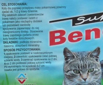 SUPER BENEK Schnellwachsendes Katzengras "DUET" 150g in der Kunststoffbox