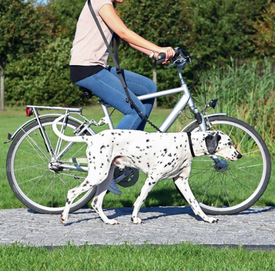 TRIXIE Fahrrad- und Joggingleine für Hunde