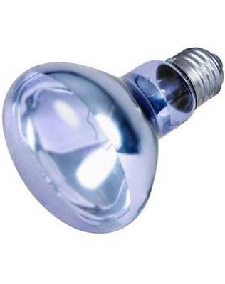 TRIXIE Neodymium Wärme-Spot-Lampe 75 W
