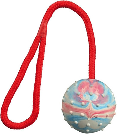 Trixie Ball am Seil Naturgummi (ø 6 cm / 30 cm)