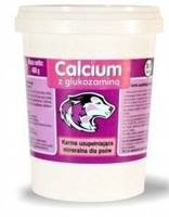 Calcium 400g lila Pulverdose